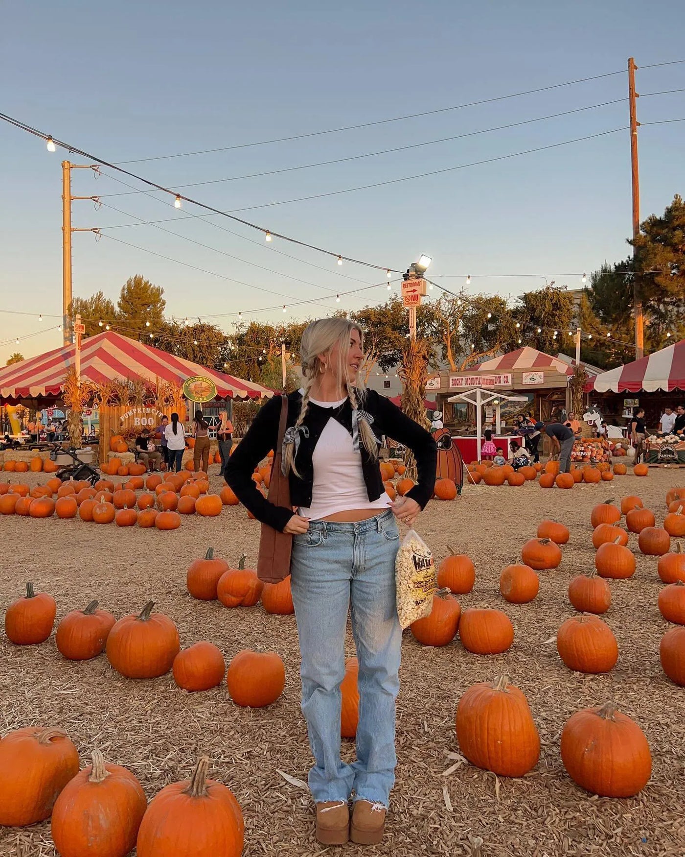 Cozy Charm Cropped Knit Cardigan